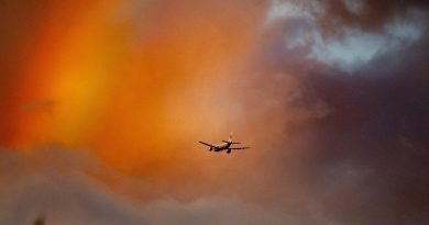 Ingresan a México más de 6 millones 121 mil turistas extranjeros vía aérea en el 1er trimestre de 2025