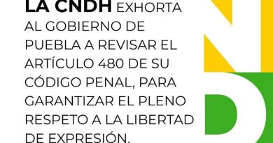 La CNDH exhorta al Gobierno de Puebla a revisar el artículo 480 de su Código Penal, para garantizar el pleno respeto a la libertad de expresión