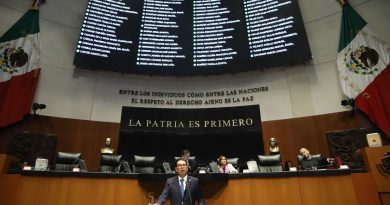 Ley sobre Guardia Nacional será una herramienta de control: Néstor Camarillo
