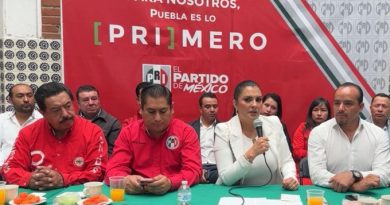 Soy tendencia, pese a mayoría de Morena y aliados: Delfina Pozos