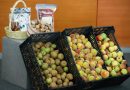 Riqueza comunitaria con justicia social para el campo poblano: Armenta