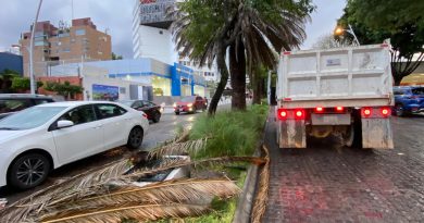 Gobierno de Puebla Capital atiende caída de árboles y postes tras fuerte lluvia