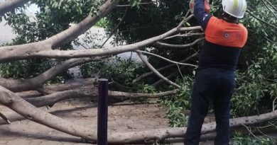Lluvias provocan caída de árboles en Puebla; Protección Civil atiende emergencias en Xonaca y Moctezuma