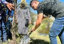 Gobierno de la Ciudad impulsa reforestación en Puebla con la siembra de 530 árboles nativos
