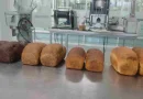 Investigadora Tec desarrolla alimentos a base de harina de insectos