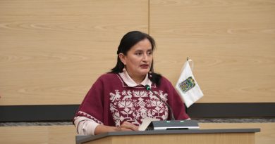 Impulsa Esther Martínez protección legal y cultural a los bordados tradicionales de Hueyapan