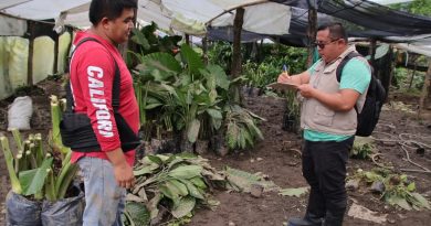 Avanzan Servidores de la nación en el Censo de Bienestar en zonas afectadas por las lluvias en Hidalgo, Puebla, San Luis Potosí, Veracruz y Querétaro