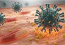 ALERTA. Se contagian más de 400 alumnos en Puebla con virus Coxsackie