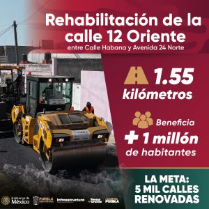 300 x 300_Mesa de trabajo 1 (1)