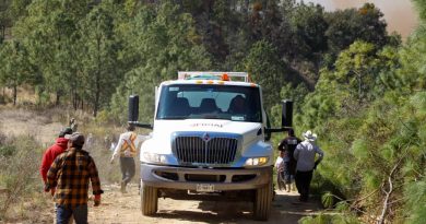 Controlado el incendio forestal en Vicente Guerrero, está liquidado al 90%: Protección Civil