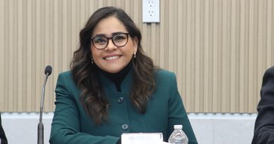 En marzo, Soapap podría comparecer ante el Congreso