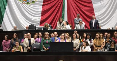 Nunca más el abuso sexual quedará en la impunidad. Cámara de Diputados aprueba reforma