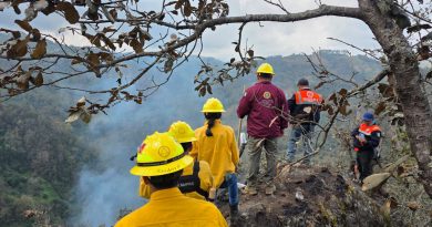 Ante incremento de incendios en 2026, gobierno estatal intensifica acciones de combate