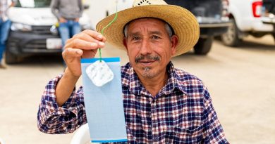 Refuerzan prevención del gusano barrenador en la Sierra Negra de Puebla