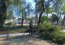 Interviene Gobierno de Pepe Chedraui más de 460 mil metros cuadrados con poda y chapeo en 2026
