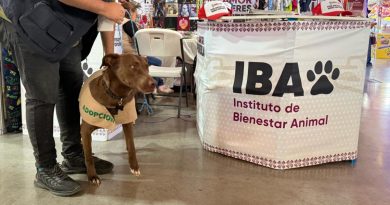 Defiende titular de Bienestar Animal su desaparición y la incorporación al DIF