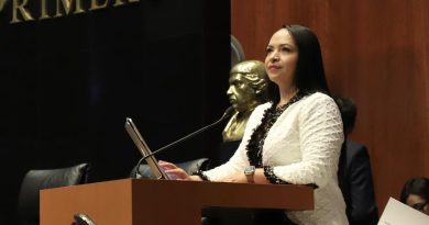 “No es traición”, defiende Liz Sánchez decisión del PT sobre el Plan B