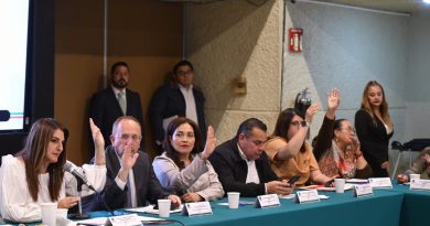 Avanzan leyes secundarias de la jornada laboral de 40 horas: Maiella Gómez