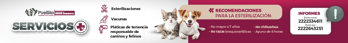 BANNERS_animales_1200X150