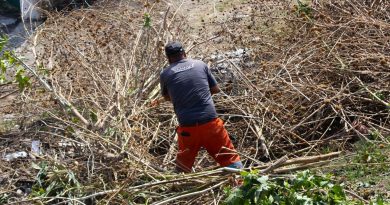 Gobierno de Pepe Chedraui inicia intervención de limpieza en barranca de Río Zapatero