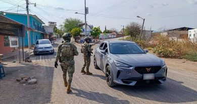 Puebla y Guerrero continúan coordinación de acciones operativas en zonas limítrofes