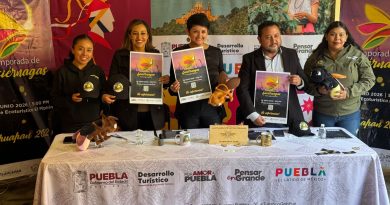 Se espera una derrama de más de 6 MDP por temporada de luciérnagas en Tlahuapan: Rosy Díaz