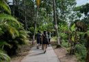 Sectur celebra la aprobación del proyecto iCOAST por parte del Fondo para el Medio Ambiente Mundial