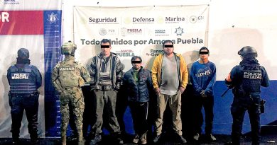 Policía Forestal detiene a cuatro hombres en posesión ilegal de madera