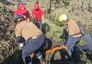 Tras dos días de búsqueda, localizan cuerpo de policía de Ocoyucan