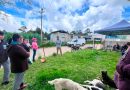 La salud animal llega hasta las comunidades más alejadas de Xiutetelco