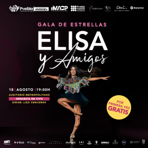 ELISA Y AMIGOS_BANNERS WEB_800X800