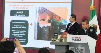 Con inteligencia y estrategia, gobierno estatal desmantela producción de estupefacientes en Sierra Norte