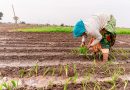 Día Nacional de las y los Defensores Ambientales: un llamado a la protección urgente en México