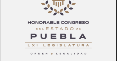 ESPECIAL ¿Qué dice el código de ética sobre el actuar de los diputados y diputadas?