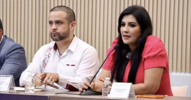 Primero se deben socializar los temas y luego crear leyes, sentencia Delfina Pozos