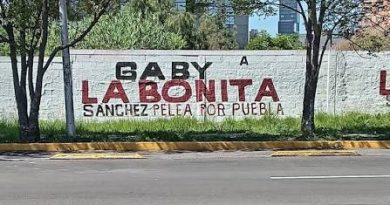 Culpa Pavel Gaspar a dueños de bardas por dejar pintar nombres políticos