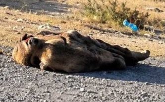 Con signos de violencia y encobijado, localizaron a hijo de alcalde de Tecamachalco