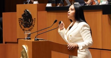 Quien aspire a gobernar debe poner los intereses de México y de su pueblo primero: Liz Sánchez