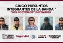 Detiene SSP a una integrante más de “Los Pocholos” en posesión de droga