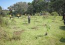 Cuautlancingo, sede de la Mega Jornada de Limpieza de Ríos 2026