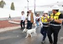 Gobierno estatal alcanza 88 por ciento de avance en Célula de Bieneatar Animal